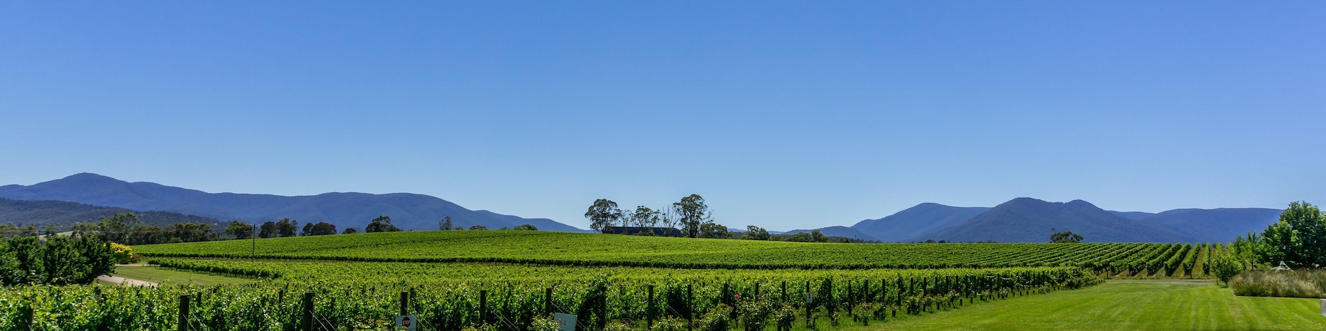 Yarra Valley Vineyards in Victoria, Australia.