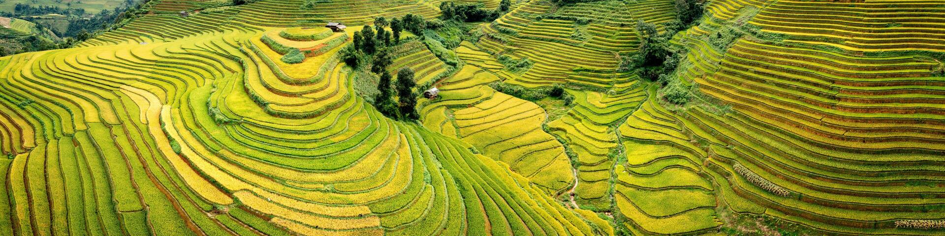 Mu Cang Chai Rice Terraces Aerial Sapa Vietnam