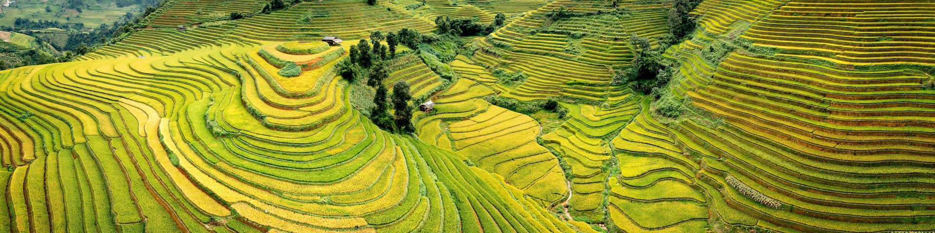 Mu Cang Chai Rice Terraces Aerial Sapa Vietnam