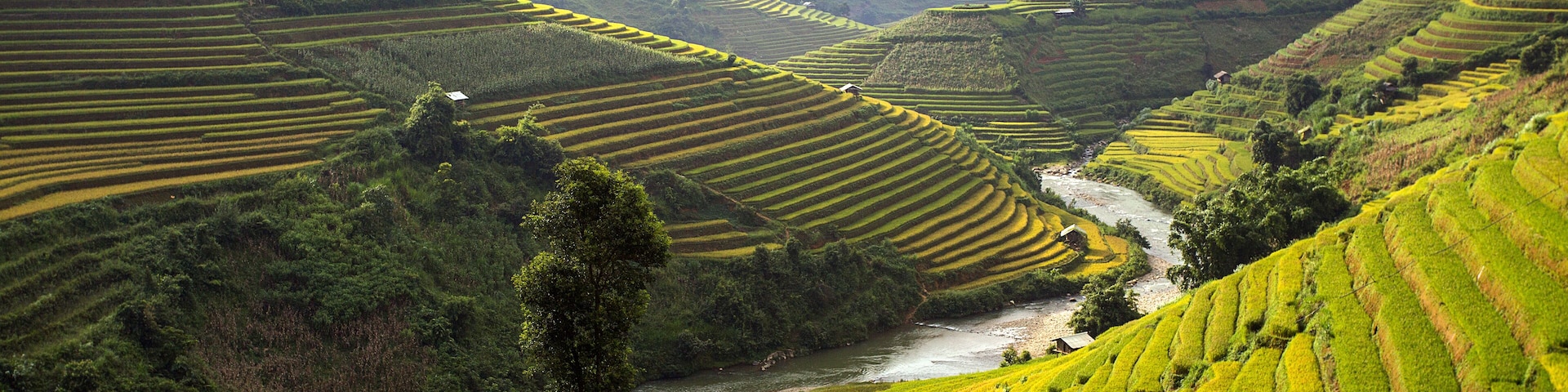 Rice Farm in Vietnam 2015, Mu Cang Chai.