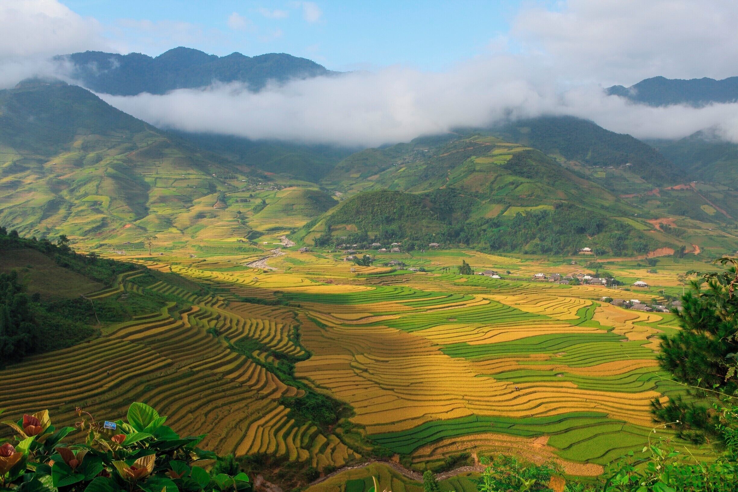 Rice Terrace paradise in La Pan Tan on a trip in Oct 2016
from The Terrible Tour Guide: http://theterribletourguide.com