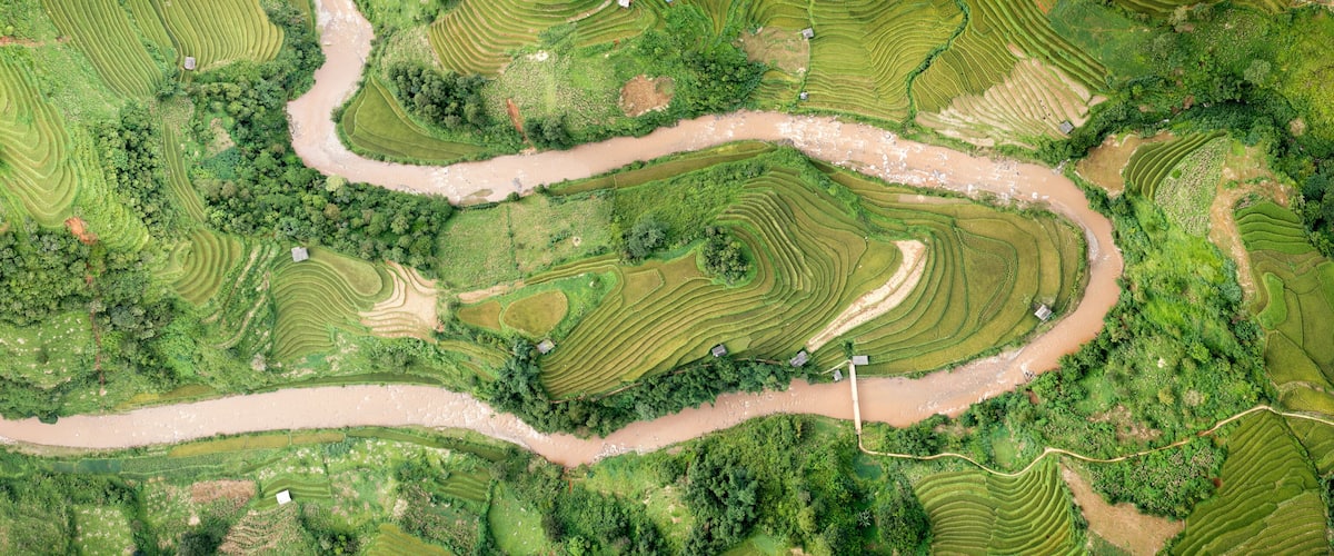 An aerial view of terraced rice fields along a winding river.