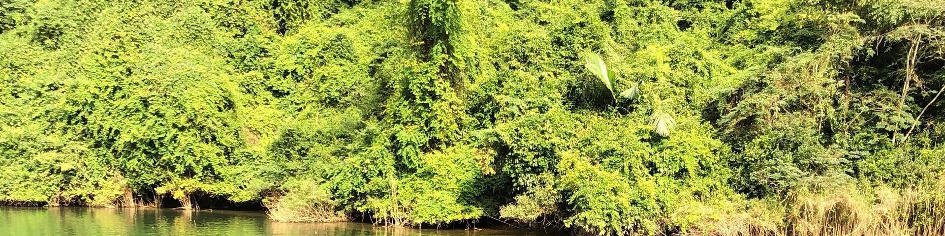 A small boat with a red flag on a calm river surrounded by lush greenery.