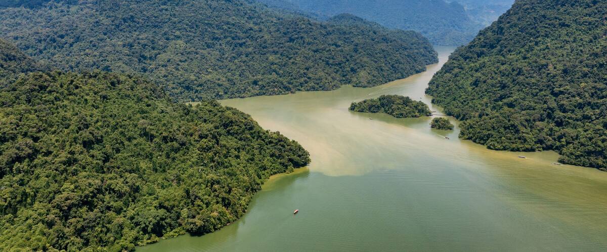 A river winding through a dense forest with mountains in the background.
