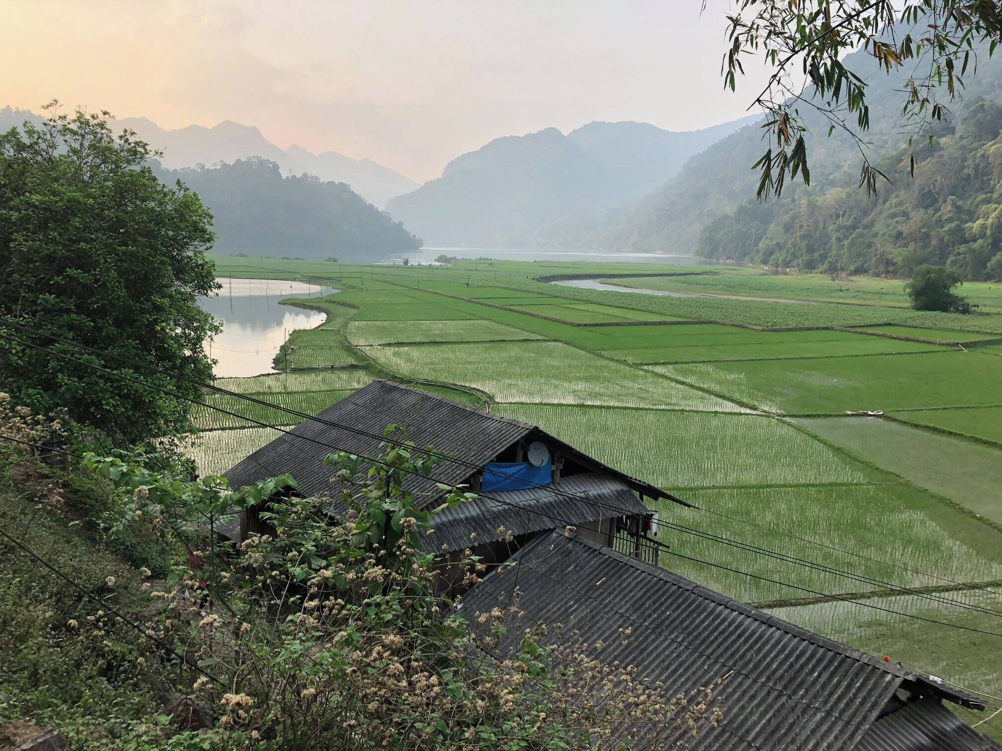 rice fields meeting Ba Be Lake in Vietnam
