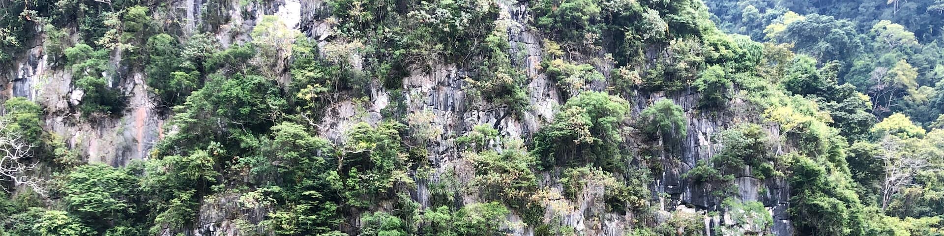 A calm river with dense green foliage and rocky cliffs.