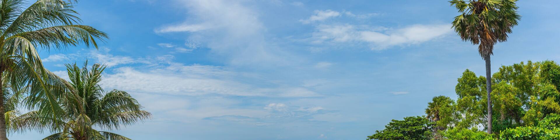 The beach on sunny day .