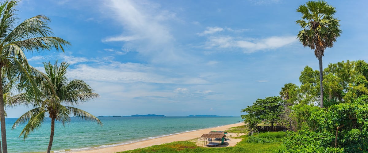 A beach with palm trees, a clear sky, and a calm sea.
