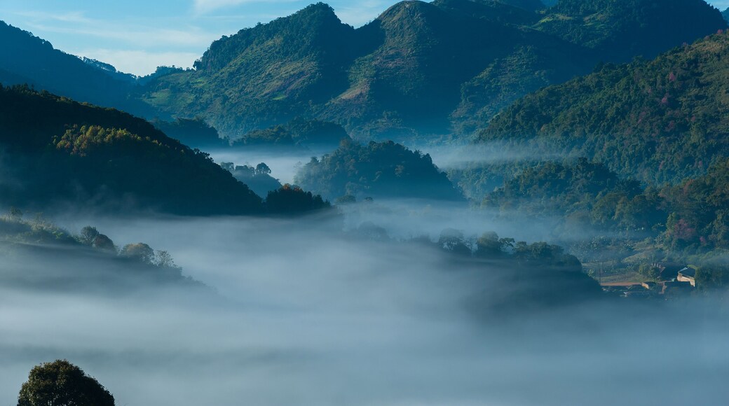 Beautiful Sunrise and mist at strawberry field at doi angkang , Chaingmai Province , Thailand..The sea of mist at the mountain in winter season and travel season.