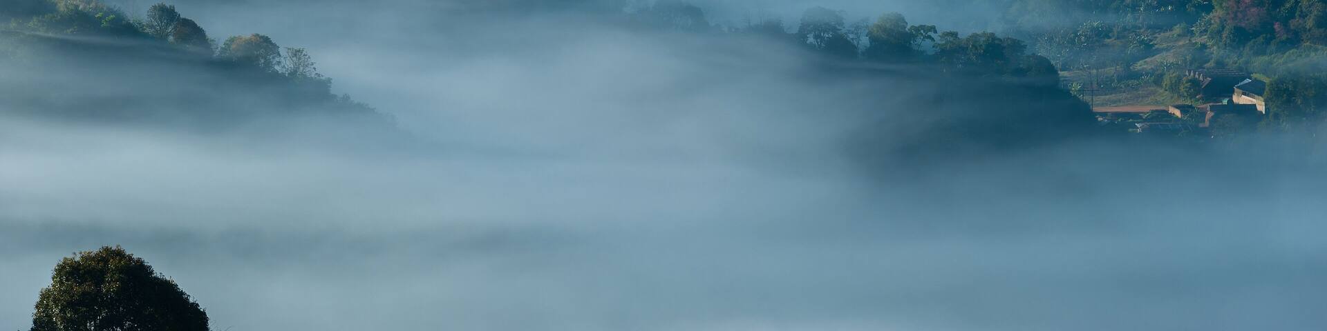 A mountainous landscape with dense forests and a valley shrouded in mist.
