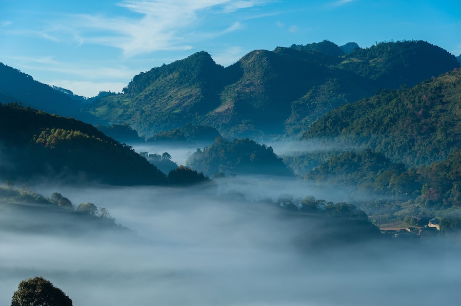 A mountainous landscape with dense forests and a valley shrouded in mist.