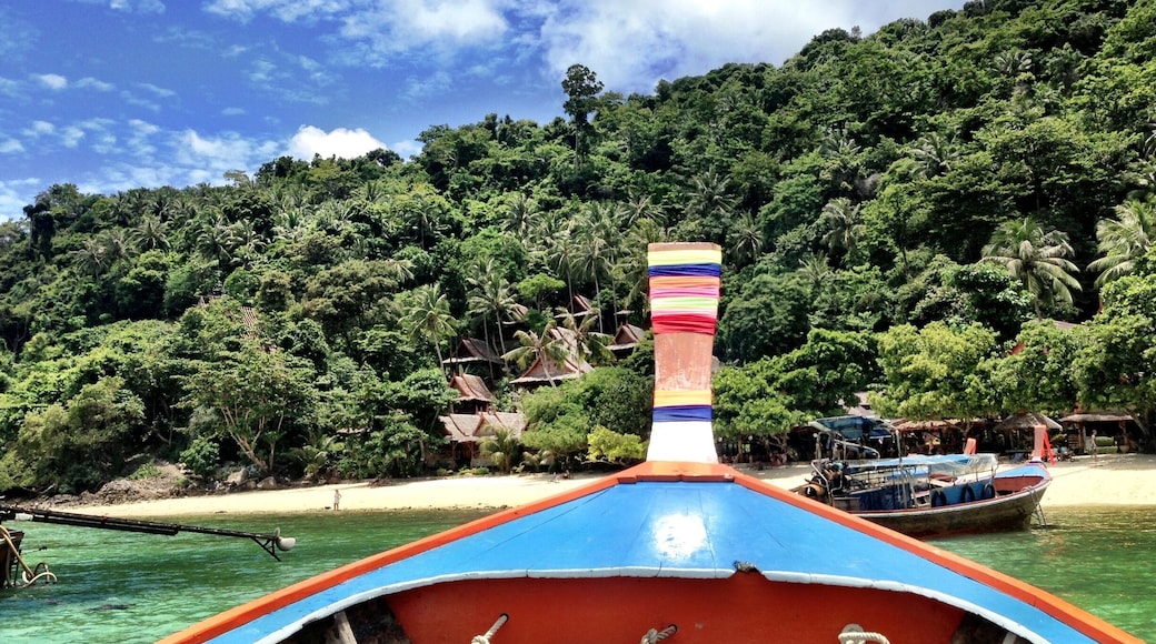 Pink 🌸🌸🌸#springfun