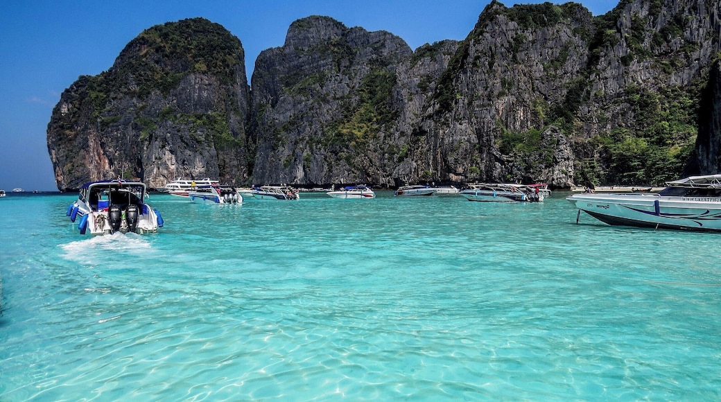 The world famous Maya Bay in Thailand.