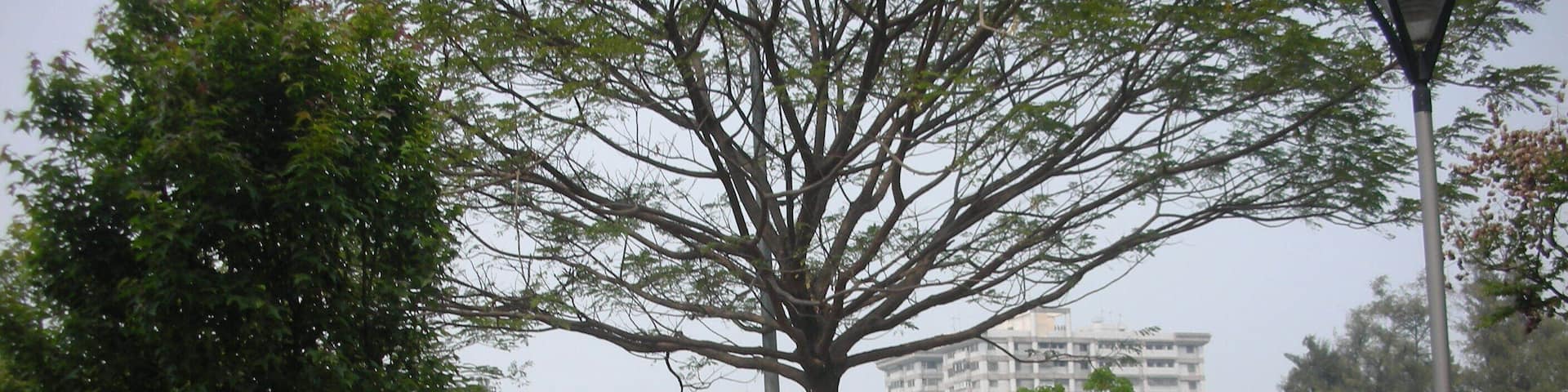 南瀛綠都心公園