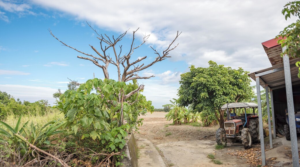 EyeEm Custom Shoots Q4 2018