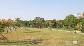 麻豆古港文化園區