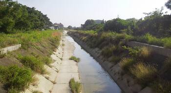 嘉南大圳麻豆支線