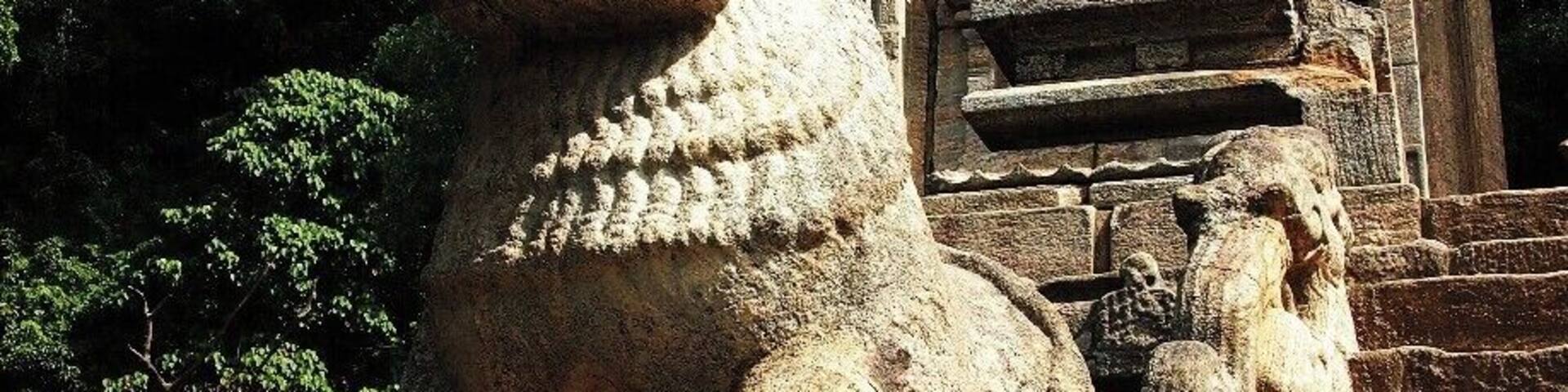 Amazing stone carvings in ancient kingdom, Yapahuwa. This is one among the few national icons of Sri Lanka.