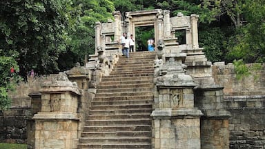 This is completely made out of stone. Just imagine the talent of the artist. This is the entrance to the ancient kingdom, Yapahuwa. One of the must visit places in Sri Lanka.
Yapahuwa is the 4th kingdom here. It is situated in a naturally protected area. So, Kings were able to face their enemies much easier.