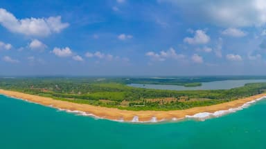 Paisagem costeira com uma praia arenosa, águas azul-turquesa e uma ilha arborizada.