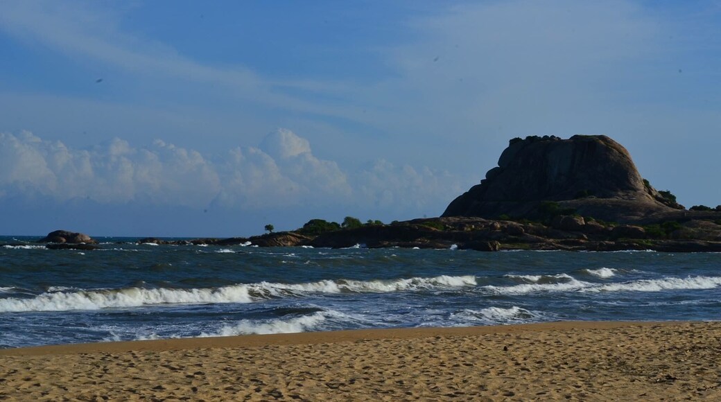 #beachbound exploring the park in a gypsy as part of jungle safari, the last thing that one expects is a pristine yellow beach with tranquil indian ocean at the edge of it
