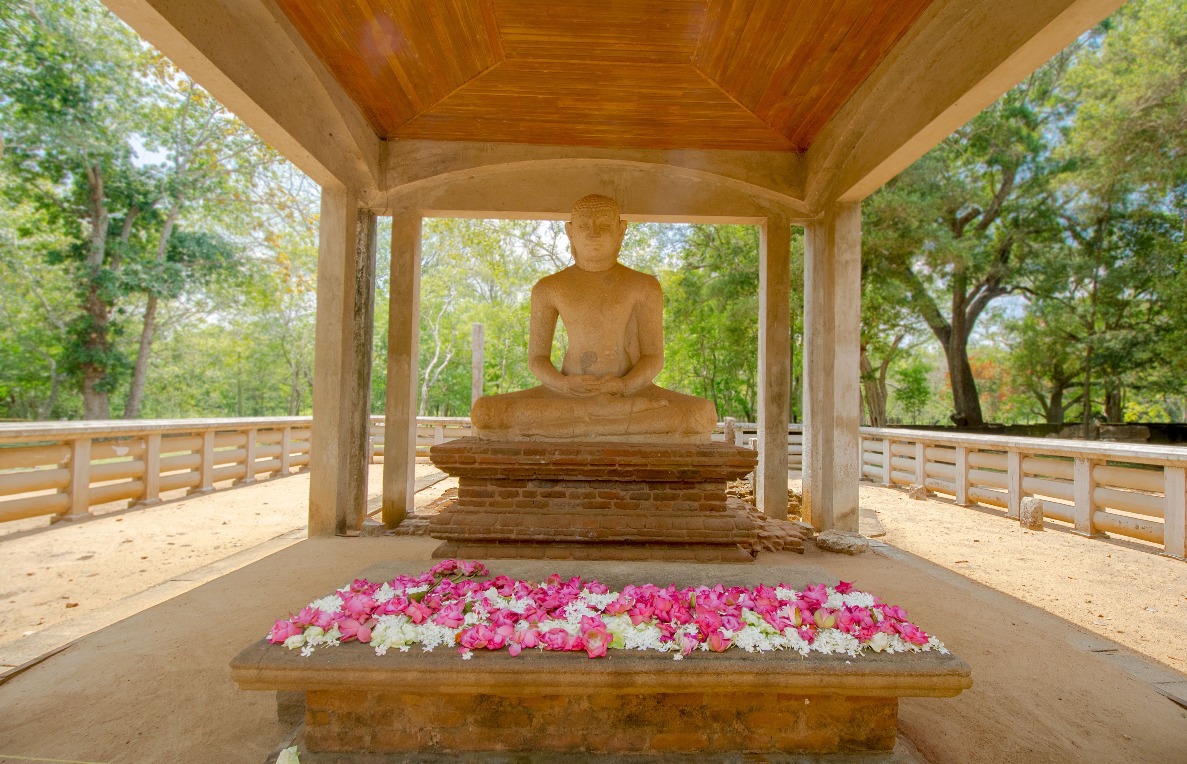 A seated Buddha statue under a wooden pavilion surrounded by pink and white flowers.