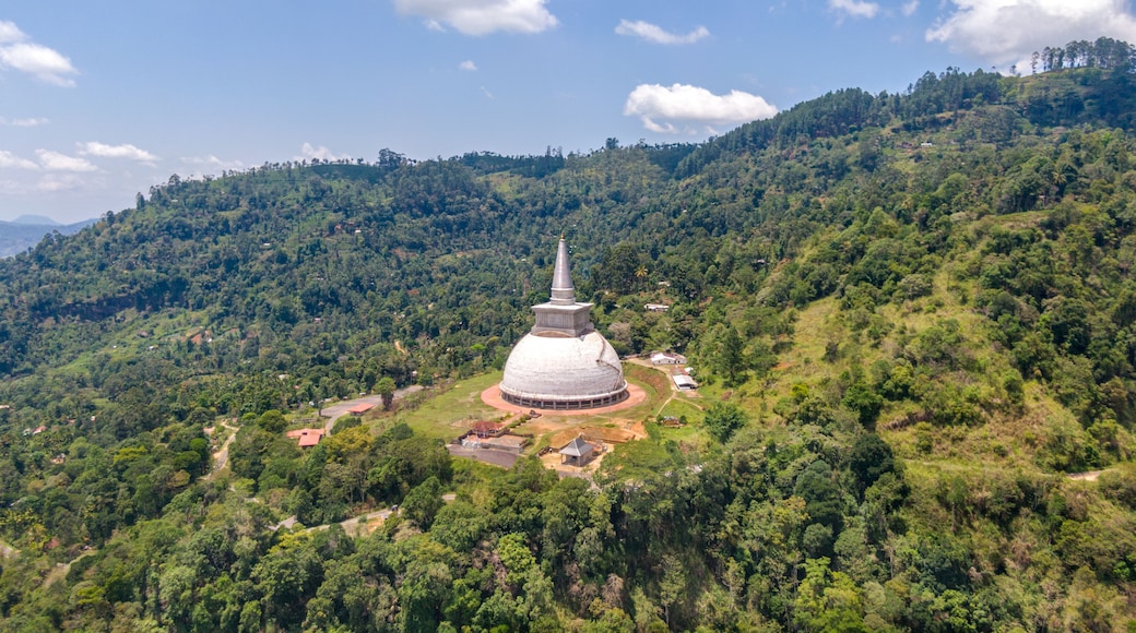 Un grand stupa blanc, entouré d’une forêt verdoyante, se dresse sur le flanc d’une colline.