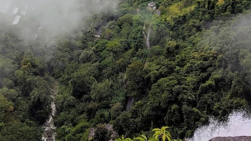 Sky is the limit
On top of the 2nd highest waterfall in srilanka. One of the best places for camping and to wake up to an amazing view
#lifeatexpedia
#green
#traveller
#lush