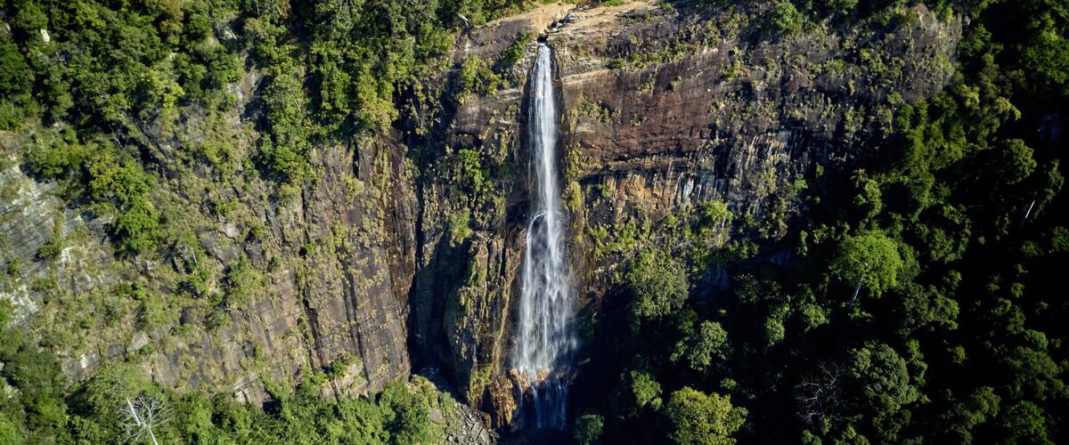 A waterfall cascading down a rocky cliff surrounded by dense green forest.