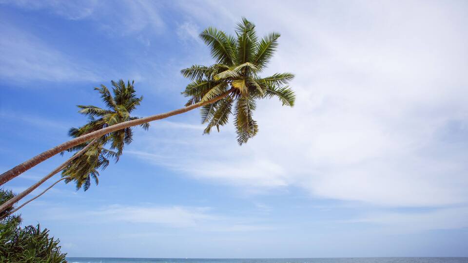 Untouched tropical beach of Sri Lanka. Akurala beach.