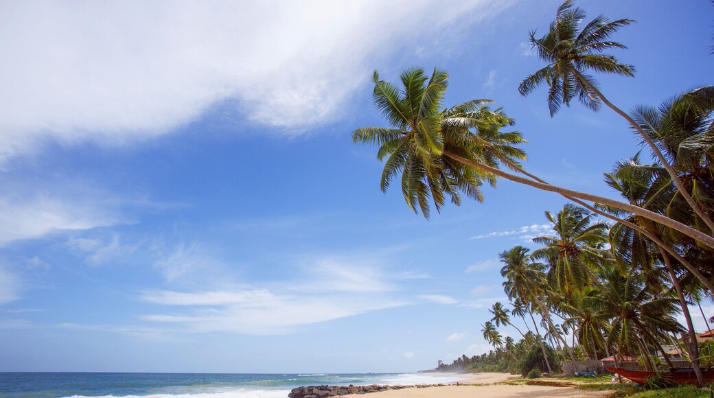 Untouched tropical beach of Sri Lanka. Akurala beach.