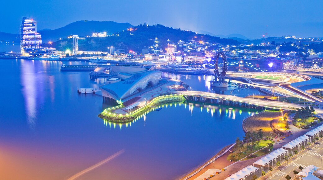 Panoramic views of Expo EDG Square and Yeosu peninsula from the Sky Tower.