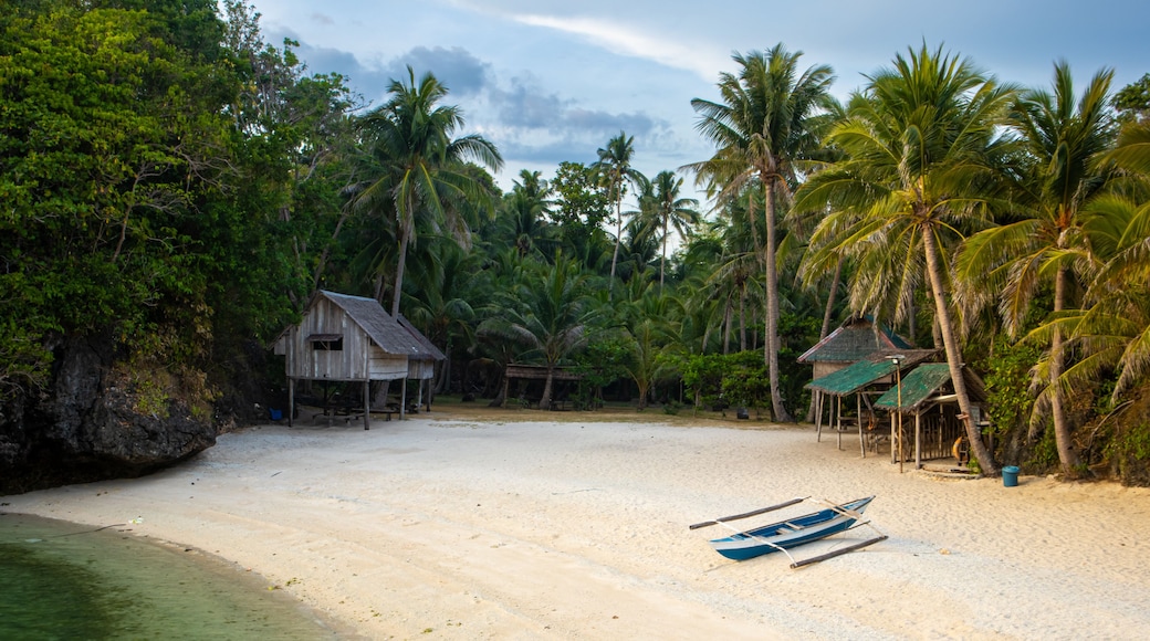 A beach with a wooden hut, palm trees, and a boat on the sand.