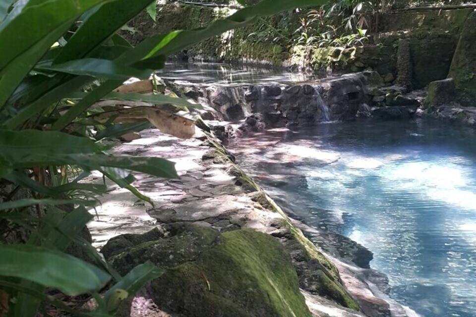 Uma costa rochosa com águas cristalinas, rodeada por floresta densa.