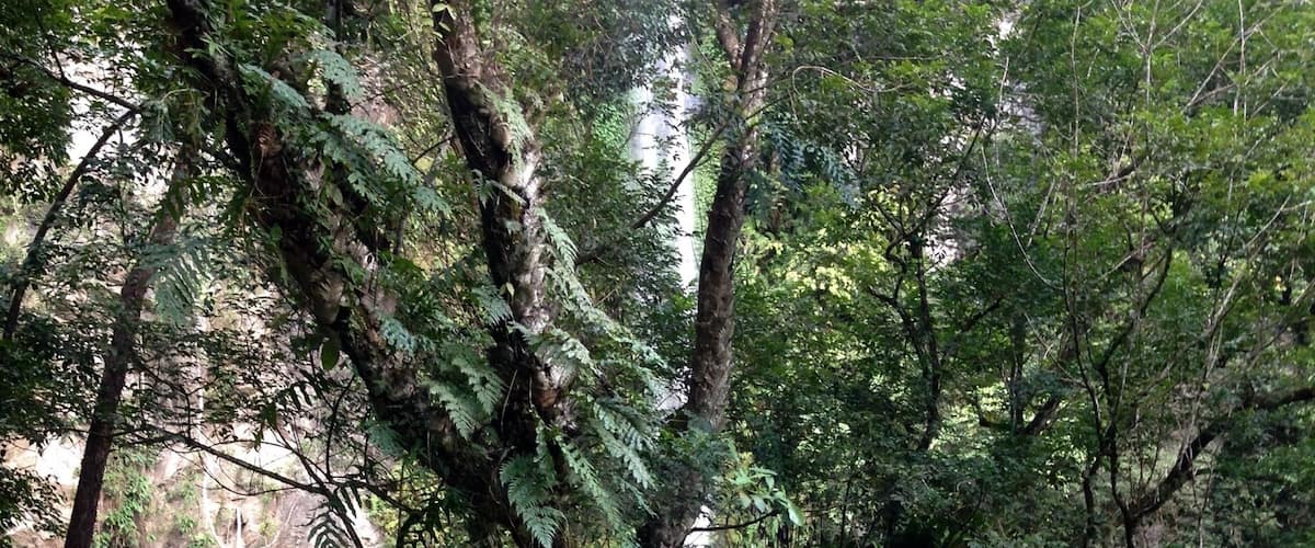 The most accessible and popular waterfalls in Camiguin