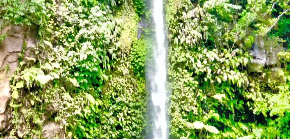 Greener than green. A falls where the heights makes you dizzy because of its near sky rocket height. The great Katibawasan Falls of Camiguin Island. A one of a kind falls that you need to experience.