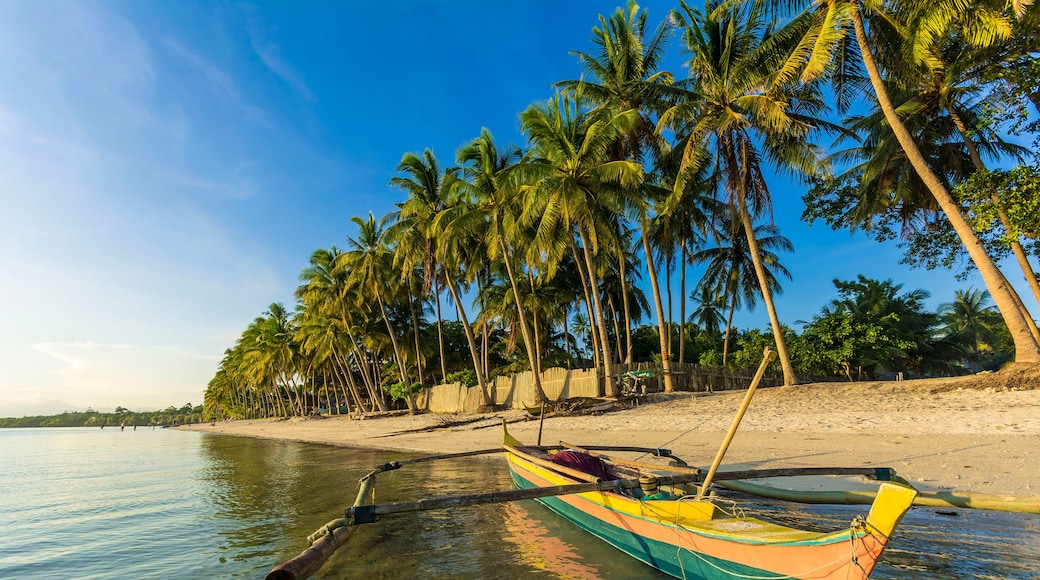 A beach with a traditional boat resting on the shore, palm trees lining the beach, and calm water.