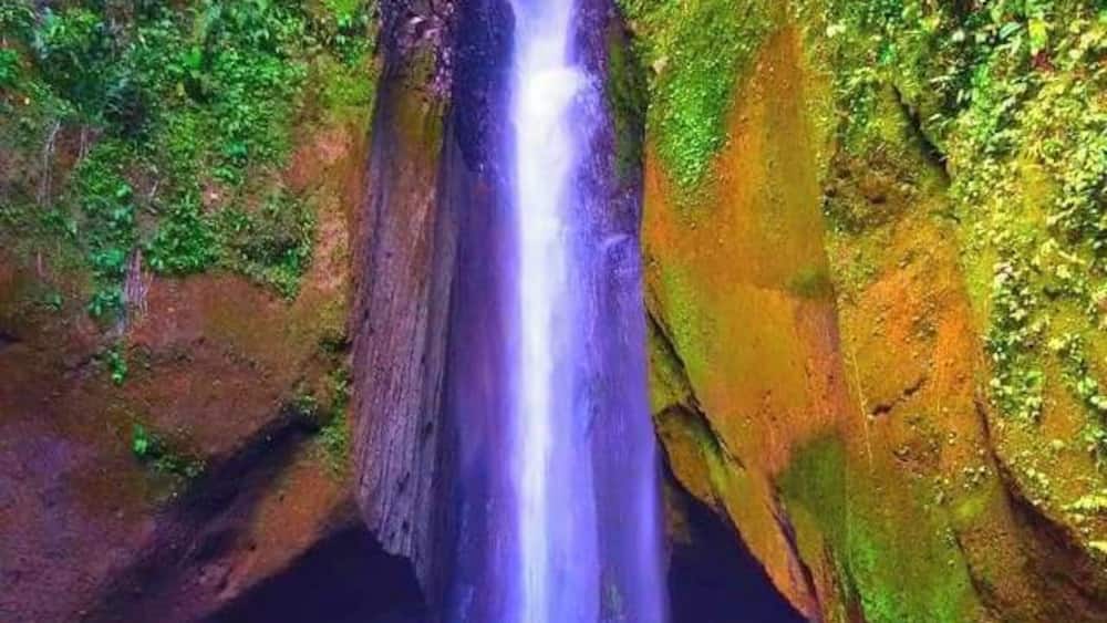 Brgy. Kapatagan, Digos Davao City