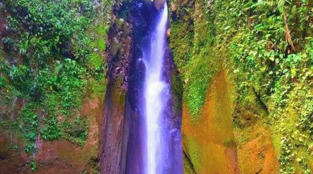 Brgy. Kapatagan, Digos Davao City