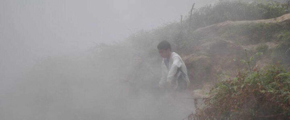 A person in a white jacket walking through a foggy landscape with vegetation.