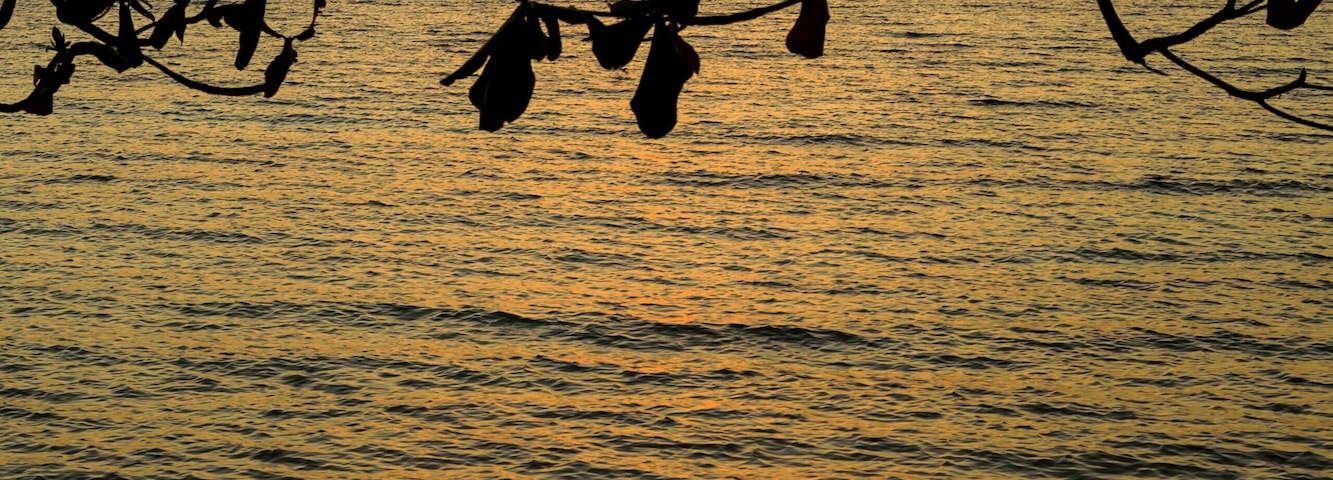 The setting sun framed between branches at Binucot Beach in Ferrol, Romblon, Philippines. #asia #philippines #romblon #sunset #travel #beach #sea #seascape