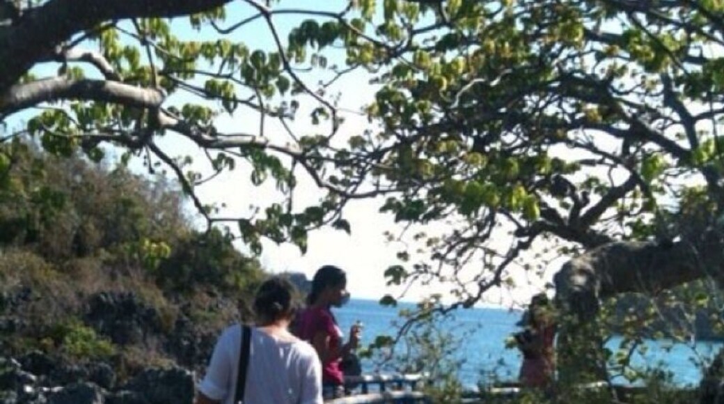 Exploring the island :o)