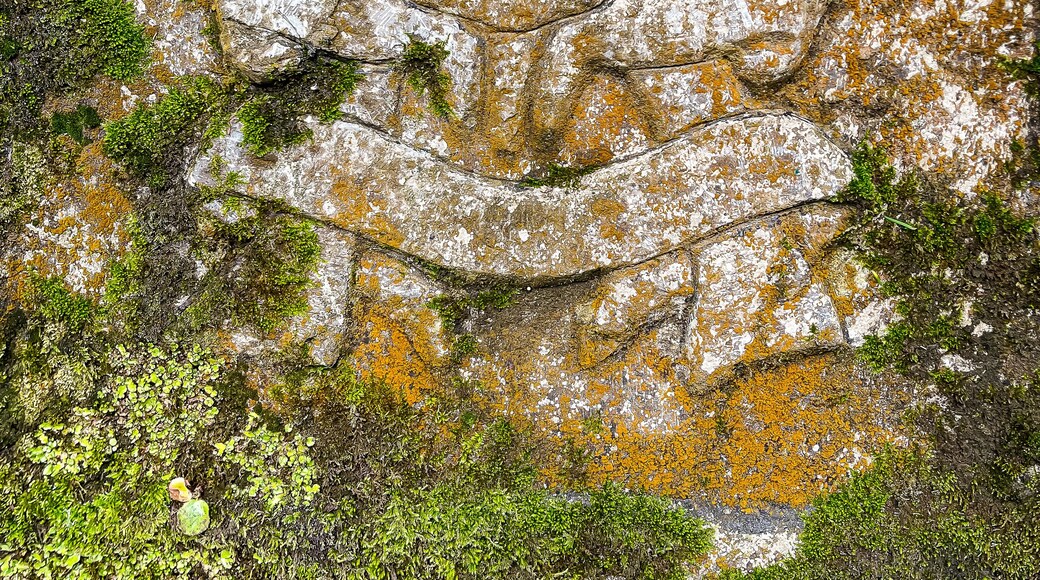 Ancient Stone Carving with Moss on Mountain Trail – Weathered Symbol on Rock at Ayubia Khanspur Pipeline Track, Pakistan this historical stone texture reflects time, mystery, and cultural heritage.