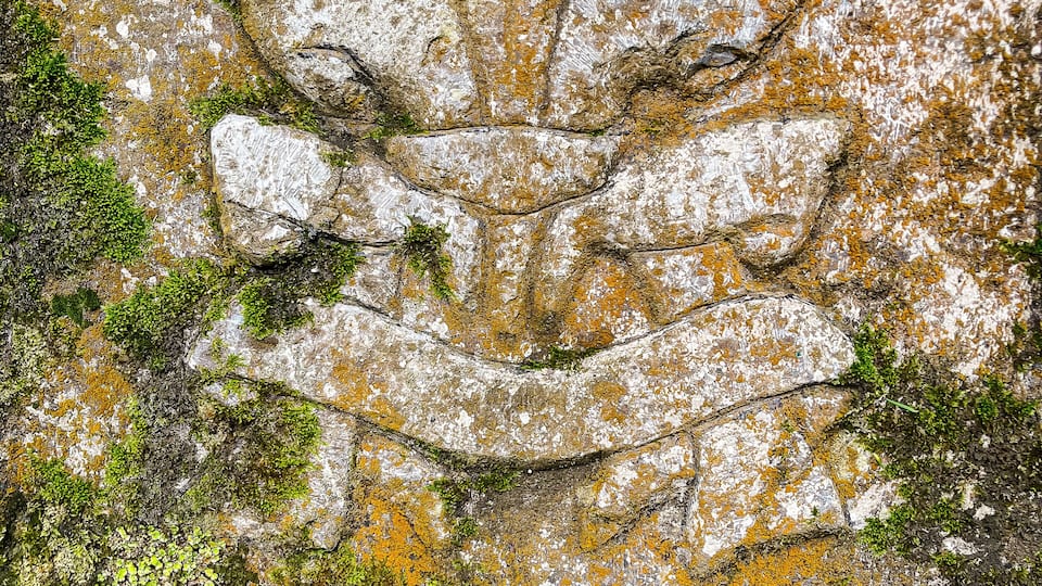A weathered stone carving of a floral design with moss and lichen growth.