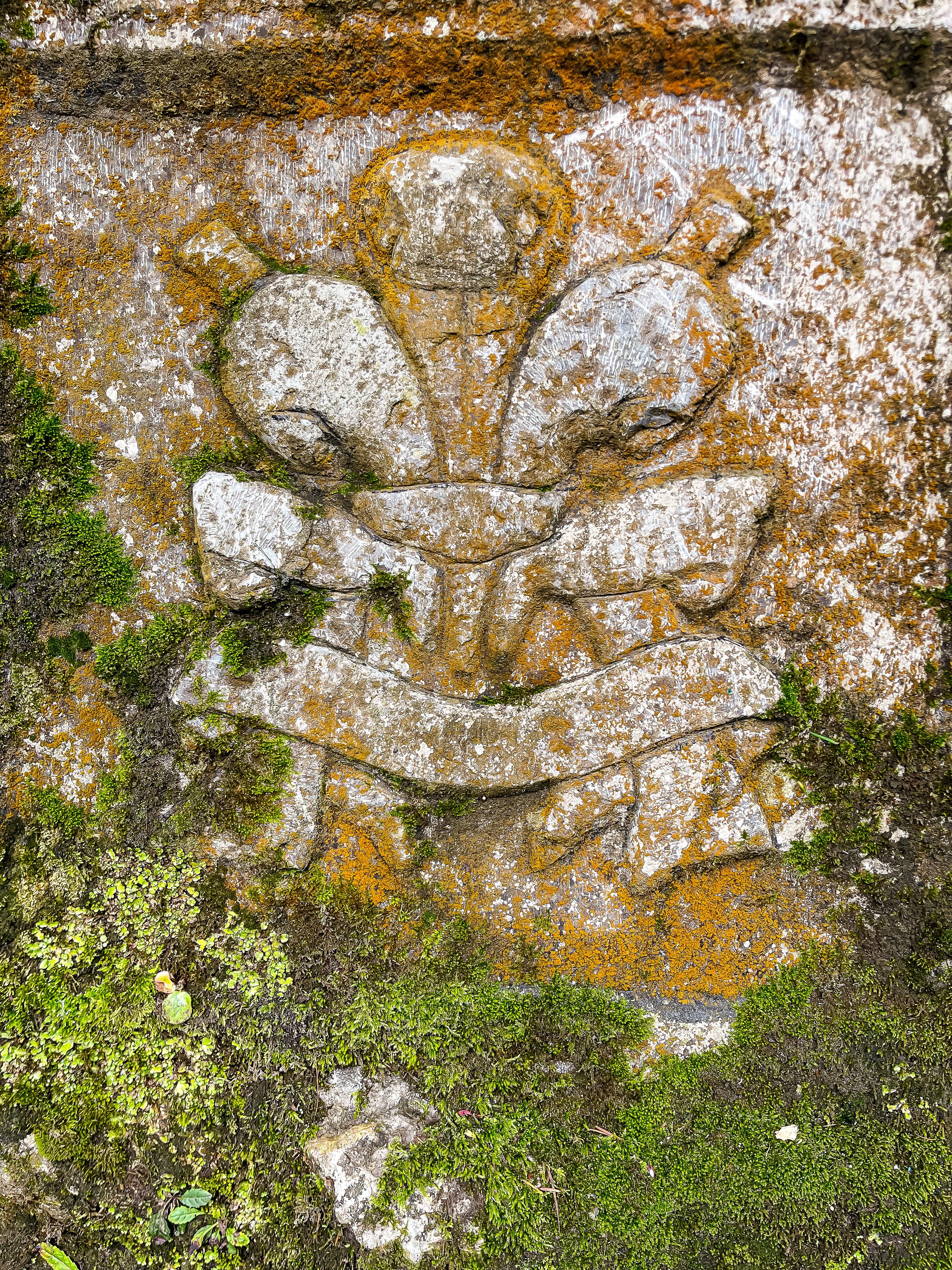 A weathered stone carving of a floral design with moss and lichen growth.