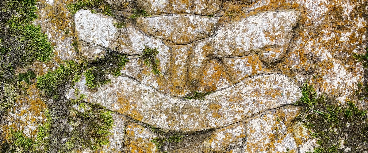 A weathered stone carving of a floral design with moss and lichen growth.