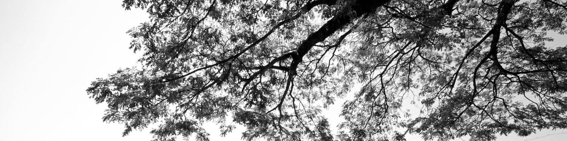 Kyauktan Ye Le Pagoda (Burmese: formally Kyaikhmawwun Yele Pagoda is a Buddhist pagoda located in Kyauktan Township, Yangon Region, on a small island in Hmaw Wun Creek, a tributary of Yangon River. The pagoda was built with many Buddha's relics inside. Many Buddism came across the river by boat to the island. It shows how strong they believe in their religion.