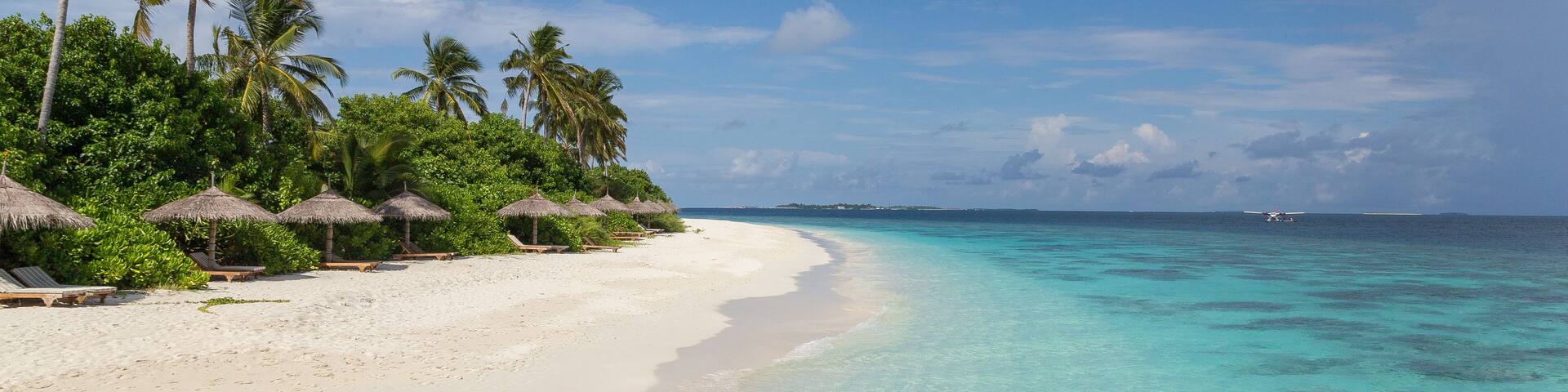 Strand mit Palme Atoll Insel Malediven