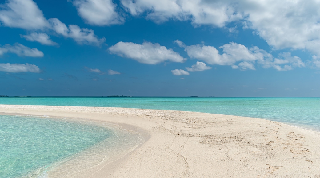 Tropical Beach Paradise in Mathiveri, Maldives
