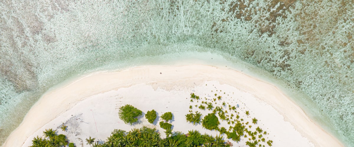 An aerial view of a beach with white sand and turquoise water. There are clusters of green palm trees and some scattered vegetation.